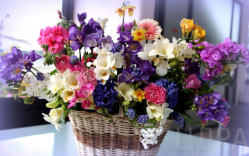 flower-basket-on-a-table-flower-hd-wallpaper-1920x1200-7960